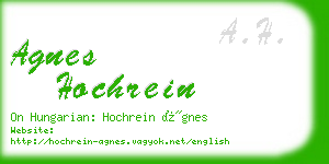 agnes hochrein business card